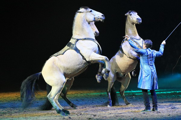 Apassionata_2014    122.jpg